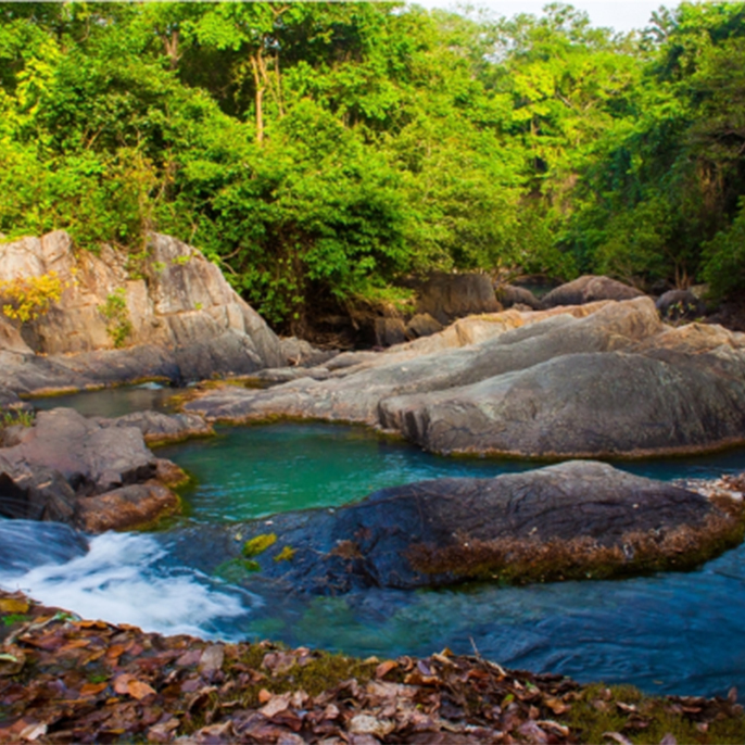 kuldiha-wildlife-sanctuary